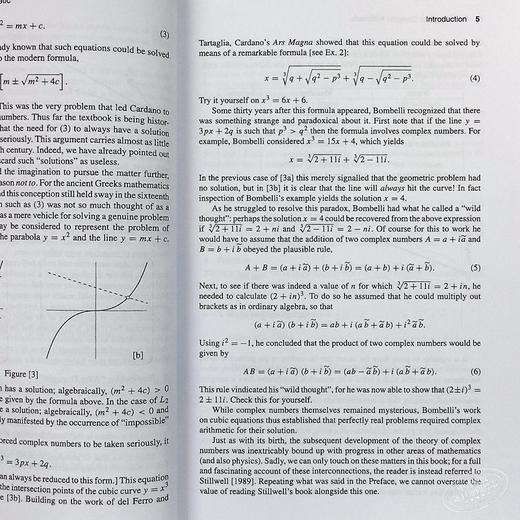 【中商原版】Visual Complex Analysis 英文原版 可视化复分析（牛津经典教材） Tristan Needham 商品图5