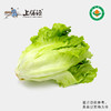 【下单后2-3天发货】上膳源有机生菜 商品缩略图0