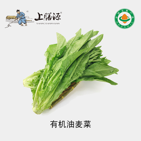 【下单后2-3天发货】上膳源有机油麦菜