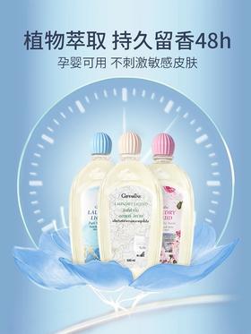 现货~芝芙莲内衣内裤专用洗衣液女士抑菌消毒去血渍（味道随机，500ml*2）宁波发货