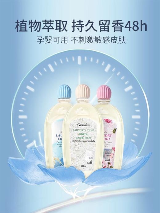 现货~芝芙莲内衣内裤专用洗衣液女士抑菌消毒去血渍（味道随机，500ml*2）宁波发货 商品图0