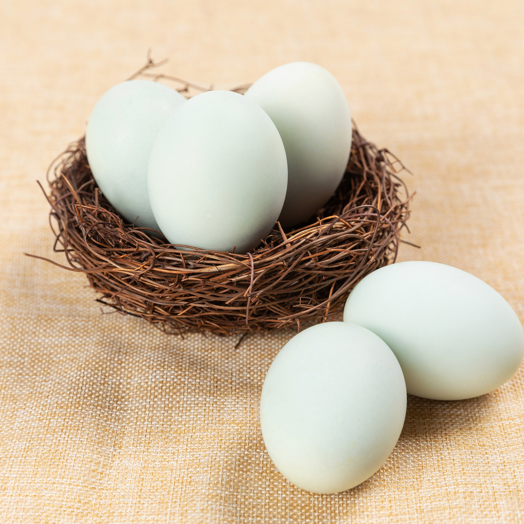 鸭蛋 凭订单到门店选取【分享赚15%】