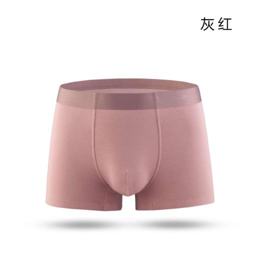 【Garcon Garcia】男士50支莫代尔内裤3条装 商品图5