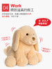 Baby Gund狗狗毛绒玩具仿真小狗布丁公可爱超萌玩具 商品缩略图1