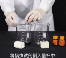 螨虫测试 (2).gif