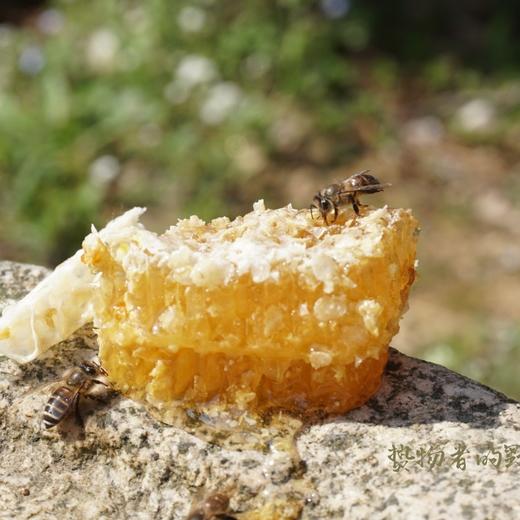 【天然蜂蜜】300g/玻璃罐 (野山花蜜/产自黄山深山/无添加） 商品图2