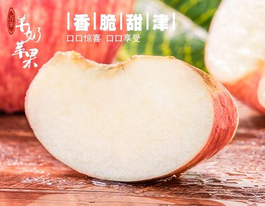 羊奶苹果|有机种植，可带皮食用，出口级别的羊奶苹果|营养丰富口感香甜 商品图2