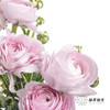 配花 | 成功洋牡丹樱花粉 商品缩略图1