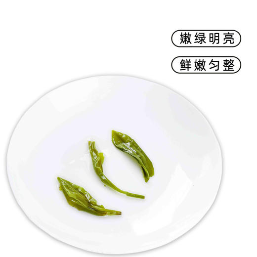 【质农】秦岭高山特级炒青绿茶250克袋装 商品图4