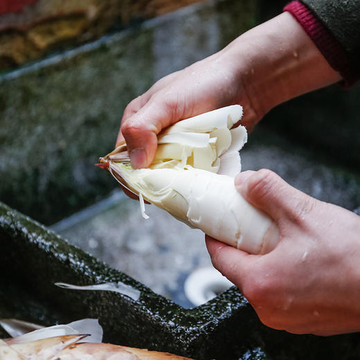 【临安天目山新鲜春笋】雷笋 应季鲜笋 现挖现发  鲜嫩多汁 商品图6