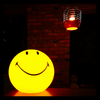 荷兰Mr Maria 笑脸灯Smiley lamp 45CM 商品缩略图1