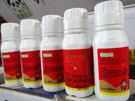 芸宝利0.01%芸苔素水剂