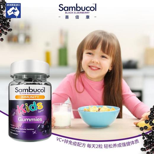 【预售10天内发出】澳洲Sambucol小黑果黑接骨木儿童补维vc软糖补锌维生素50粒*2（效期24年8月） 商品图0