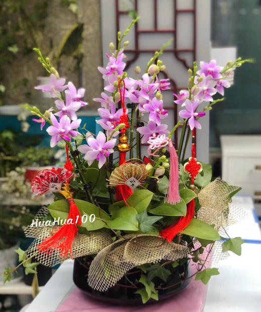 春风习习丨6株、8株粉色蝴蝶兰组盆 商品图4