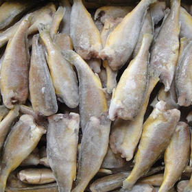 速冻去头黄花鱼(500g±50g)