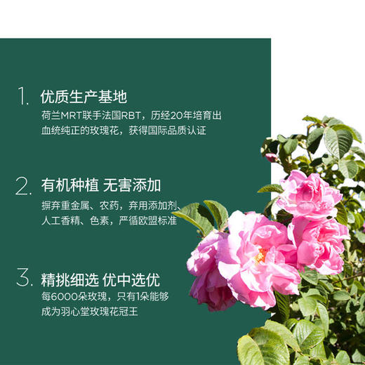 【已下架】双12秒杀 | 羽心堂 花冠王玫瑰1盒30g有机无硫玫瑰花 22年6月10日到期（不支持无理由退换）[福利品] 商品图2
