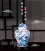 占剑文:青花斗彩锦堂富贵将军罐 商品缩略图0