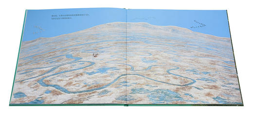 《生生不息》一只鸟的迁徙 壮阔视野下的生命 读小库 3-6岁 商品图4