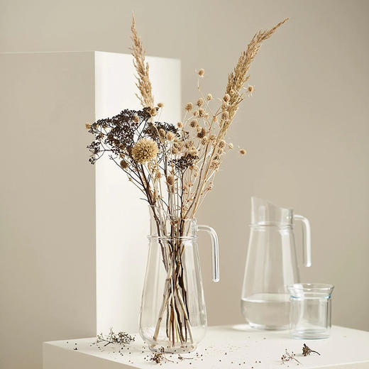 IKEA 宜家 TILLBRINGARE 提尔布林阿尔 壶 透明玻璃 1.7 公升 商品图3