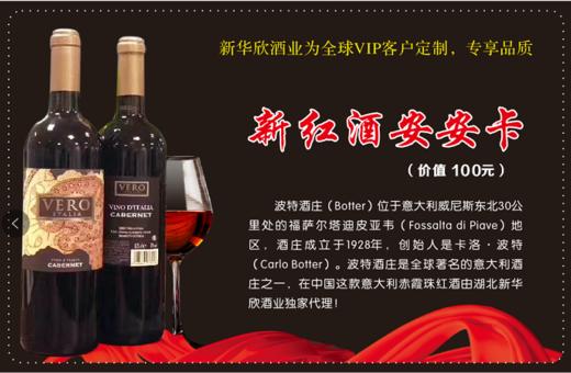 2.24-2.25业务伙伴福利—面值100元安安卡一张 商品图0