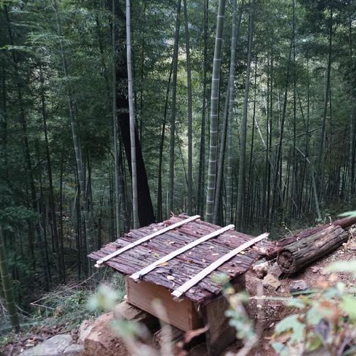 【天然蜂蜜】300g/玻璃罐 (野山花蜜/产自黄山深山/无添加） 商品图4