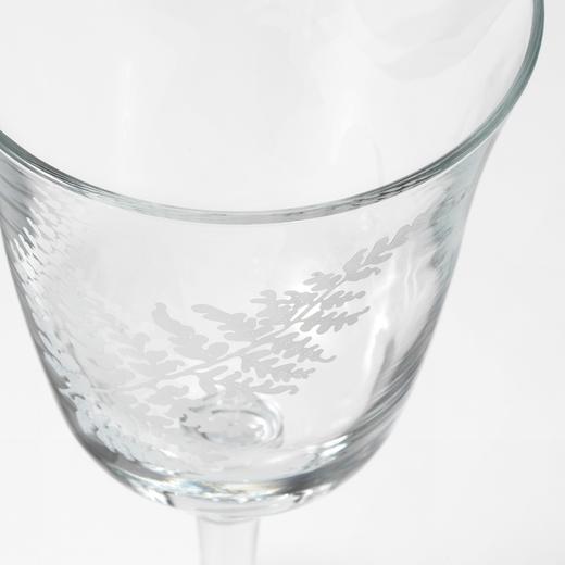 IKEA 宜家 FRAMTRÄDA 福拉姆特莱达 酒杯 透明玻璃蕨类植物 30 厘升 商品图3