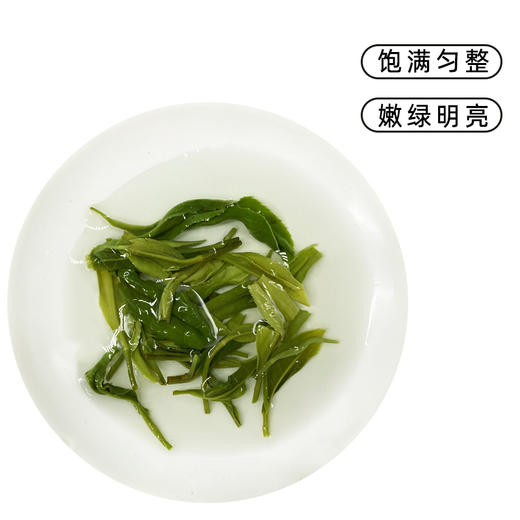 【质农】秦岭高山特级炒青绿茶250克袋装 商品图3