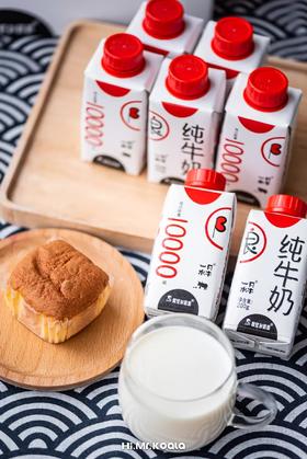  新品 | 网红“水牛奶”