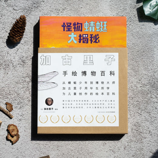 加古里子手绘博物百科：全8册 商品图2