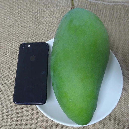 越南大青芒 新鲜青皮芒当季热带水果 商品图6