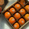 澳香橘——生长在“长寿之乡”的澳洲柑橘|来自大洋彼岸的味蕾 商品缩略图0