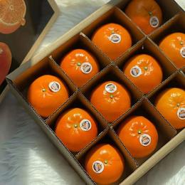 澳香橘——生长在“长寿之乡”的澳洲柑橘|来自大洋彼岸的味蕾