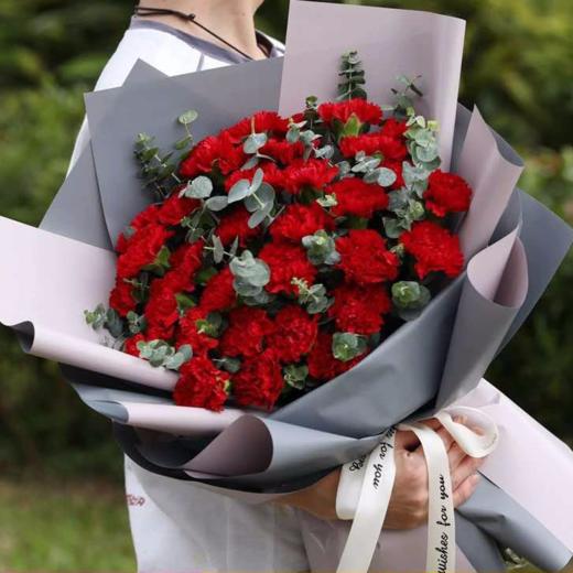 女神节红色康乃馨花束