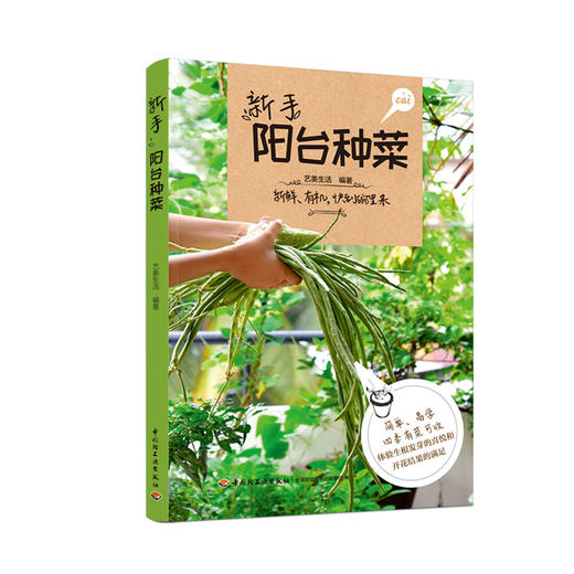 新手阳台种菜 商品图0