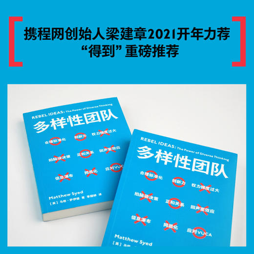 多样性团队 马修 萨伊德著 团队管理 正确决策、快速反应和应对、自我修正 把多维思考力 变成团队生产力 携程梁建章2021开年力荐 商品图2