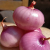 云南边境新鲜生态小洋葱紫皮洋葱5斤装 商品缩略图0