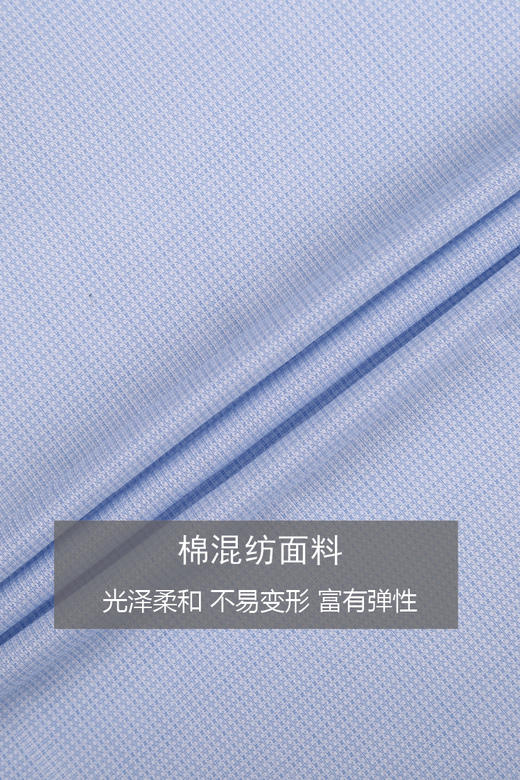 callisto丝绵混纺意式领衬衫  SQSTL019H 商品图2