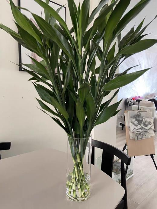 百搭实用现代简约落地直筒水晶透明玻璃花瓶下单48小时内发货 商品图4