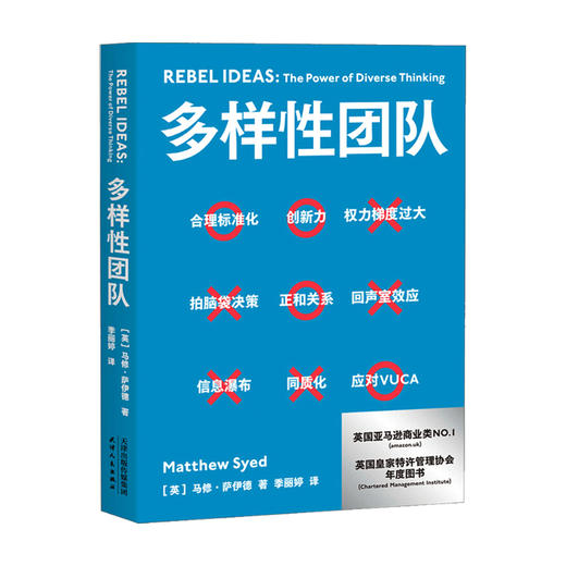 多样性团队 马修 萨伊德著 团队管理 正确决策、快速反应和应对、自我修正 把多维思考力 变成团队生产力 携程梁建章2021开年力荐 商品图0