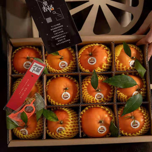 澳香橘 商品图3