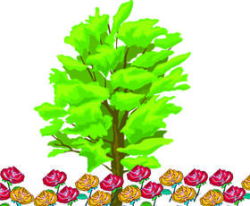 （免费）What can you see?