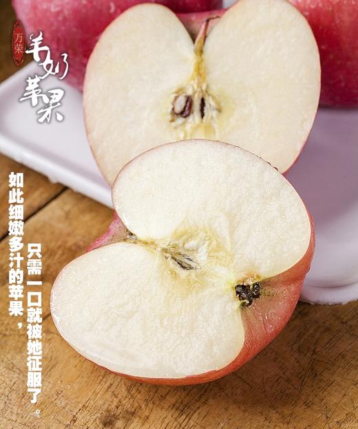 羊奶苹果|有机种植，可带皮食用，出口级别的羊奶苹果|营养丰富口感香甜 商品图1