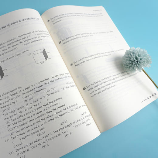 2021春华东师大版 一课一练 数学 上海英文版 五年级 第二学期 教辅图书附答案 正版 华东师范大学出版社 商品图3