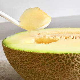 [庭院种子] 蜜语细网纹甜瓜种子 "库拉"