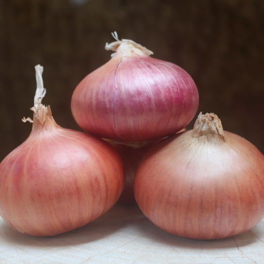 云南边境新鲜生态小洋葱紫皮洋葱5斤装 商品图1