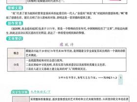 尖子生学案语文九年级下新课标人
