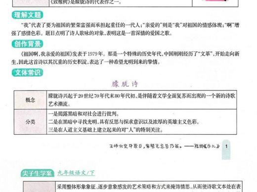 尖子生学案语文九年级下新课标人 商品图0