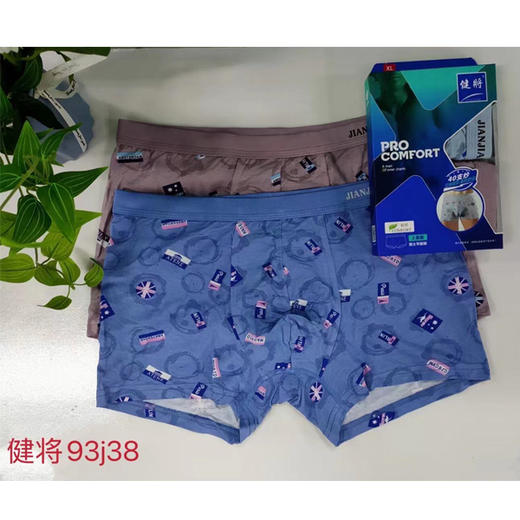 【29.9元/盒】健将男士平角内裤93J38(两条装）（1222577） 商品图0