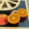 澳香橘——生长在“长寿之乡”的澳洲柑橘|来自大洋彼岸的味蕾 商品缩略图1