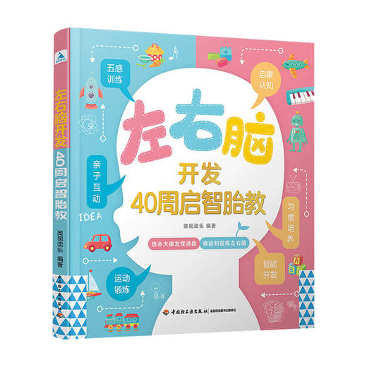 左右脑开发 40周启智胎教 全脑开发早教书籍幼儿数学思维训练宝宝逻辑智力开发全脑思维开发 商品图3